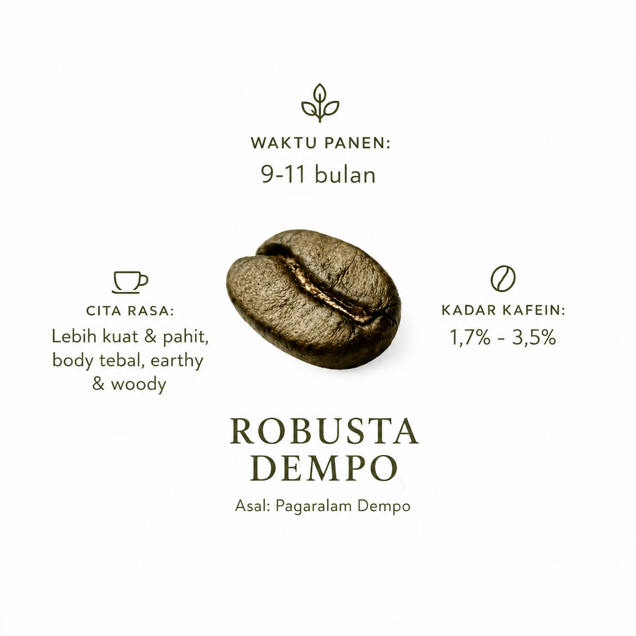 Biji Kopi Robusta - Image 2